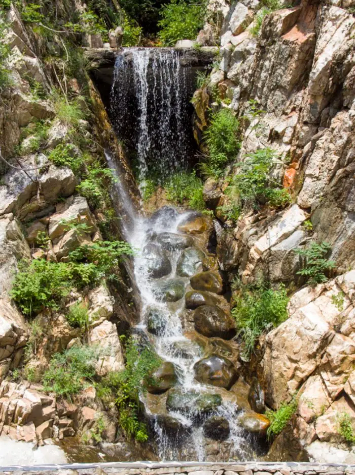 Kapha Dosha Guide: Diet, Routine, and Balance for the Earth-Water Type